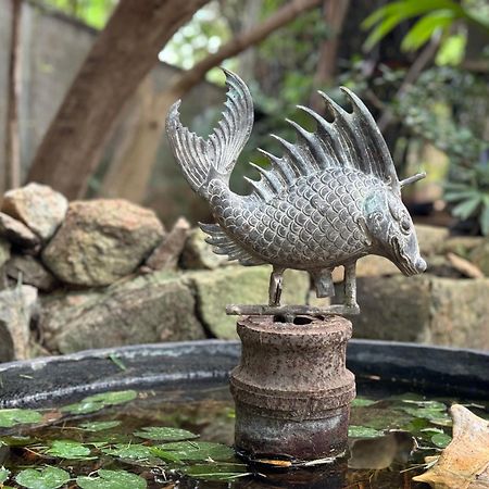 The Green Edge Dambulla Ngoại thất bức ảnh