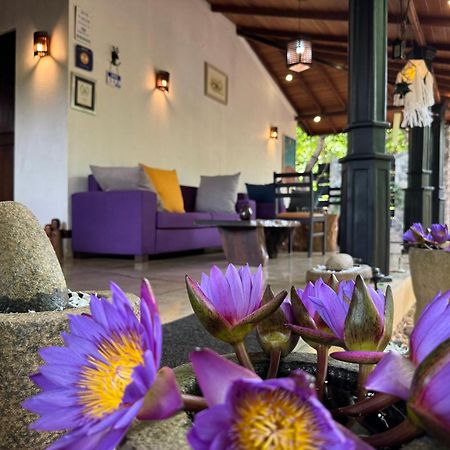 The Green Edge Dambulla Ngoại thất bức ảnh