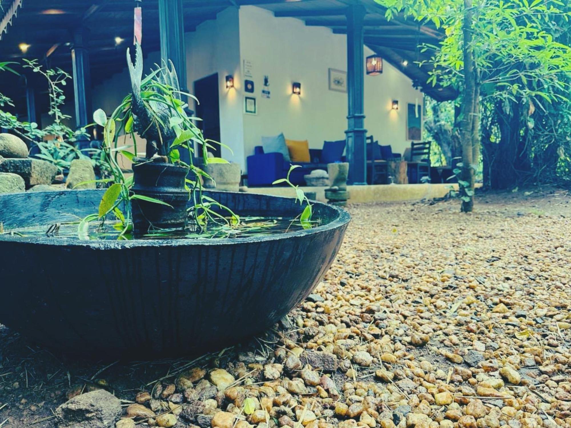 The Green Edge Dambulla Ngoại thất bức ảnh