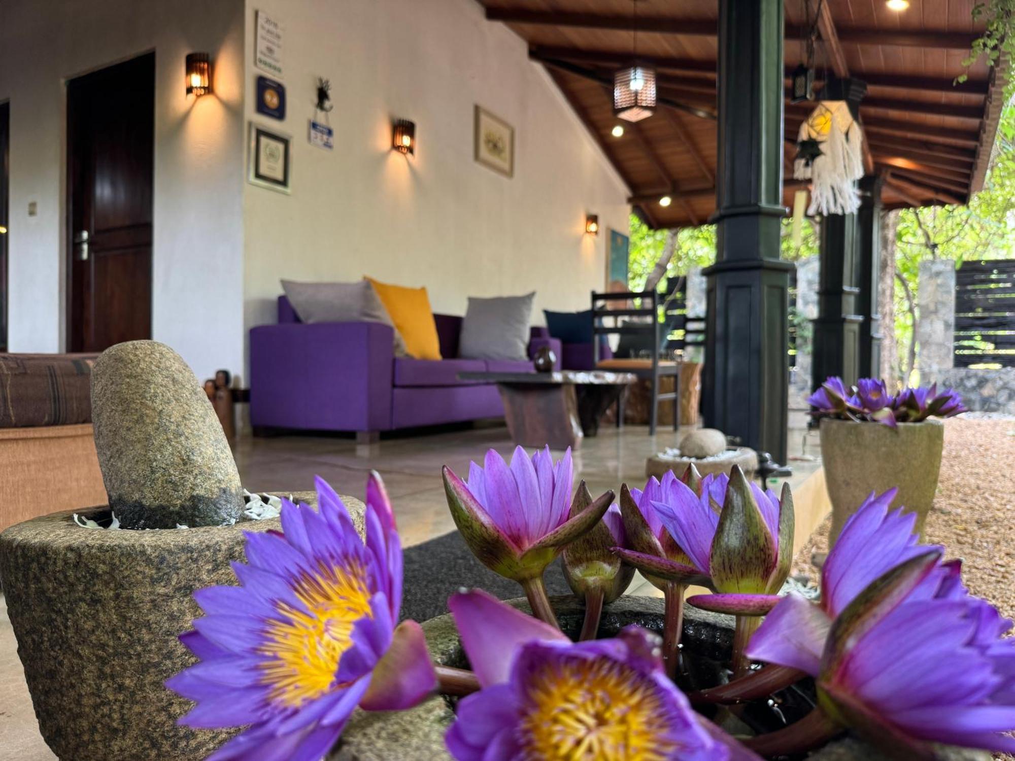 The Green Edge Dambulla Ngoại thất bức ảnh