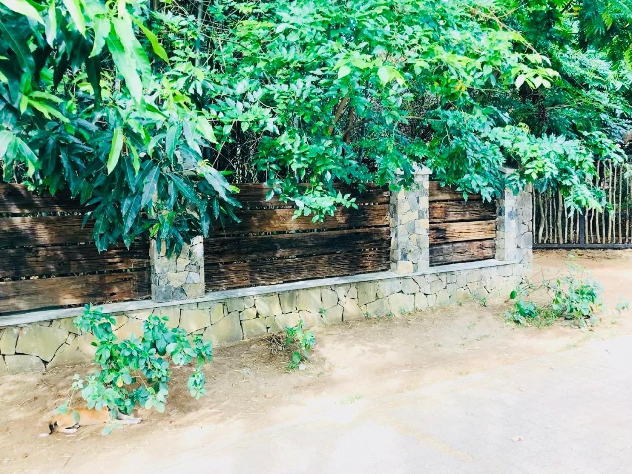 The Green Edge Dambulla Ngoại thất bức ảnh
