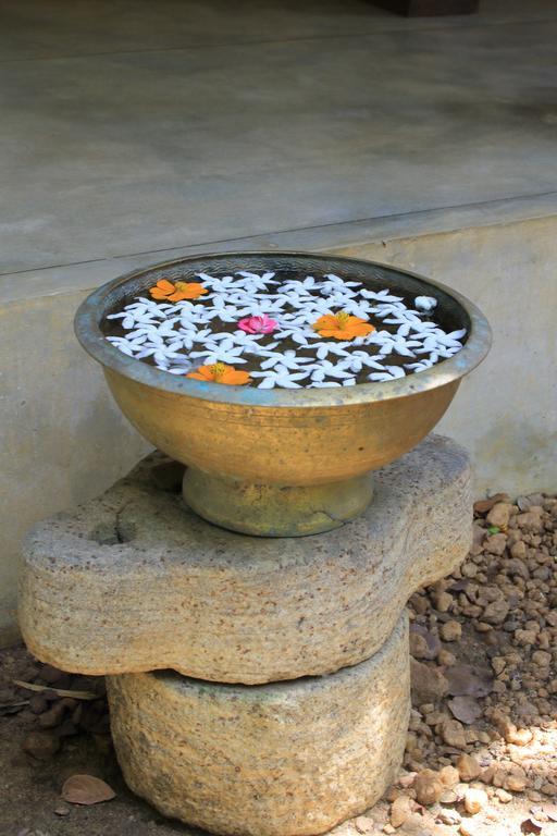 The Green Edge Dambulla Ngoại thất bức ảnh